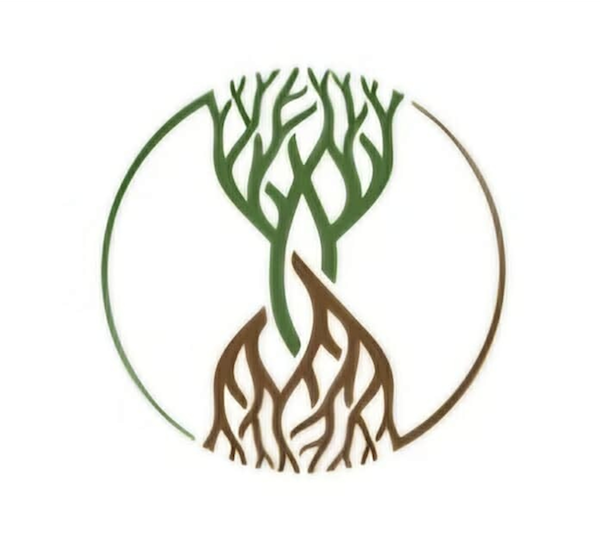 Product listing for Take Root Close-up of the Take Root Movement circular Christian logo showing intertwined green tree branches connecting to brown roots on a white background. Movement 2x2 inch matte vinyl sticker featuring the circular tree-and-roots Christian logo.